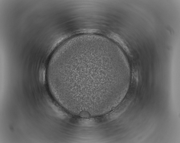 X0000111850110200908061323