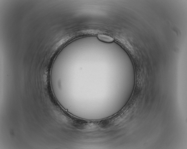 X0000111850111200908061323