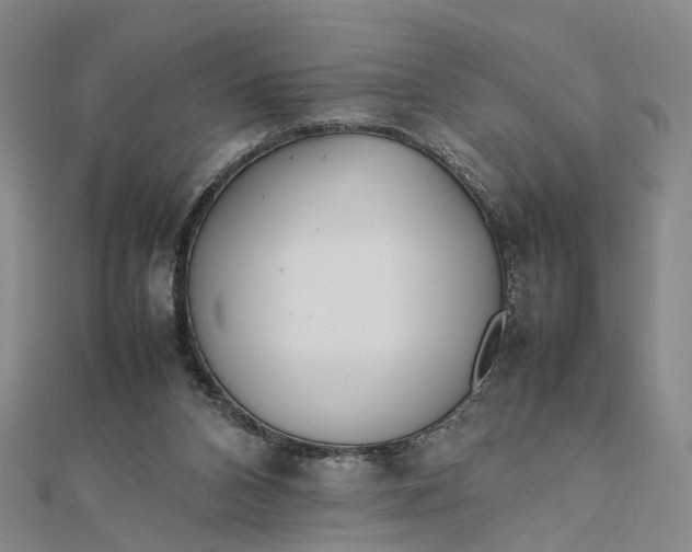 X0000111850112200908061323