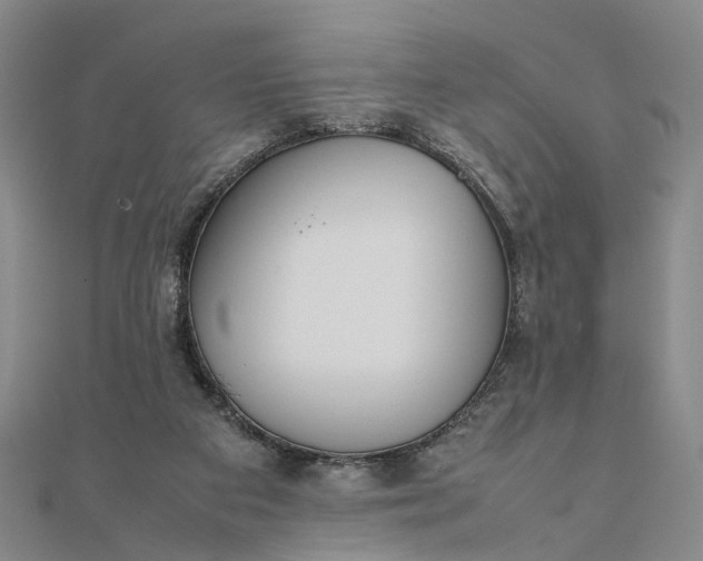 X0000111850113200908061323