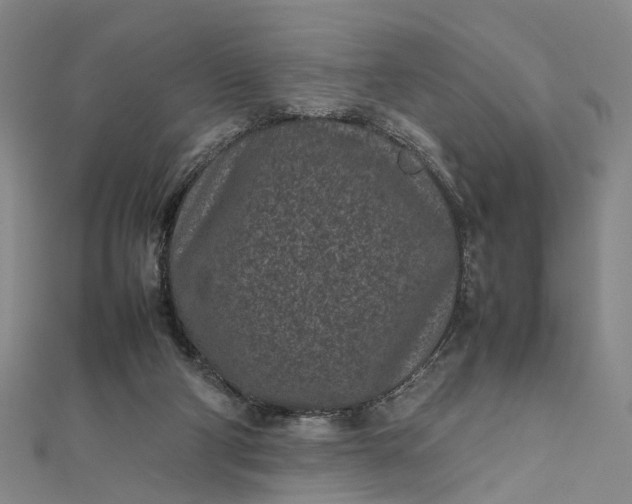 X0000111850114200908061323