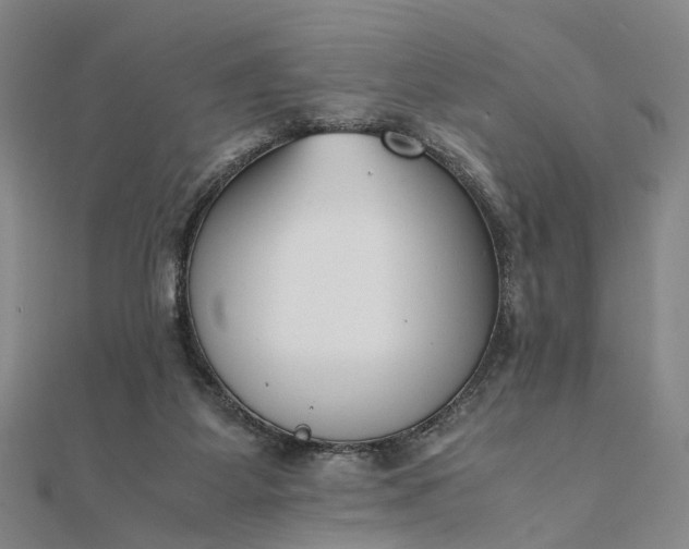 X0000111850115200908061323