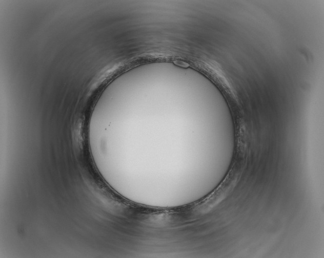 X0000111850116200908061323