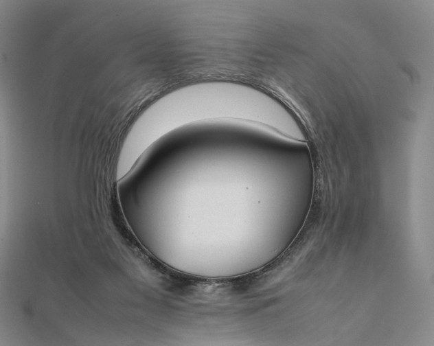 X0000111850117200908061323