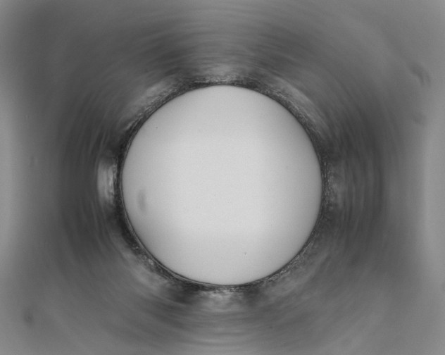 X0000111850118200908061323