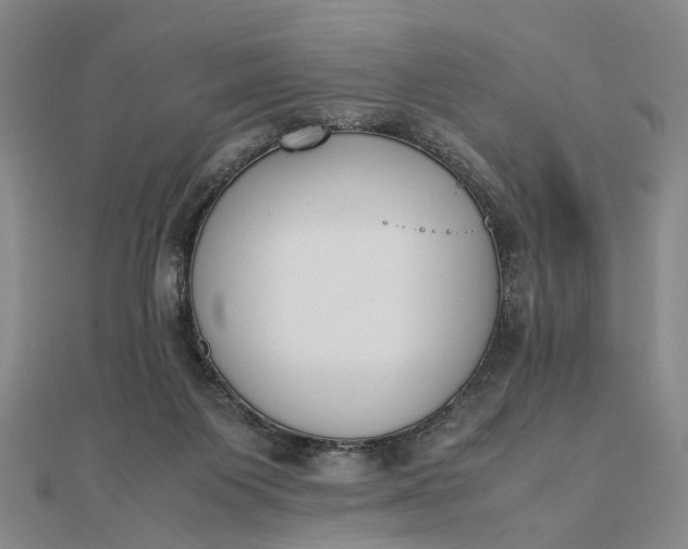 X0000111850119200908061323