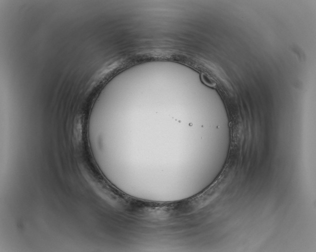 X0000111850120200908061323