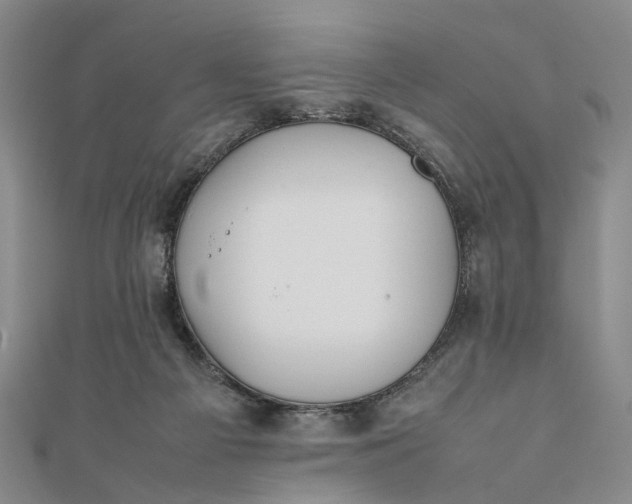 X0000111850121200908061323