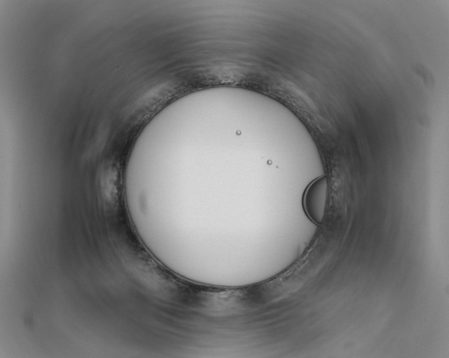 X0000111850122200908061323