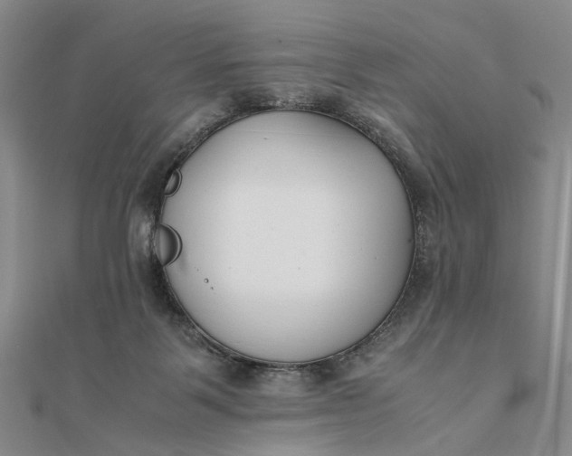 X0000111850123200908061323