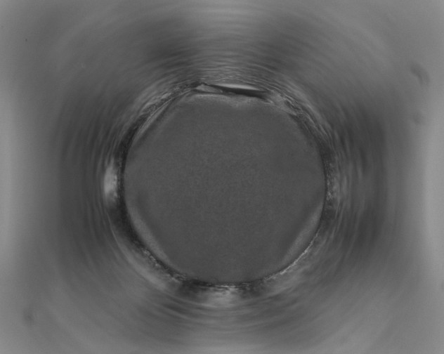 X0000111850124200908061323