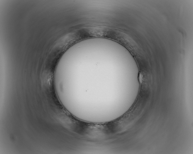 X0000111850125200908061323