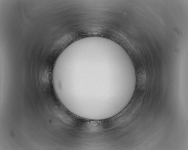 X0000111850126200908061323