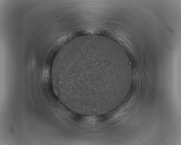 X0000111850127200908061323