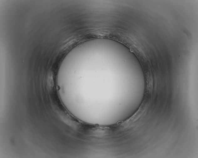 X0000111850128200908061323