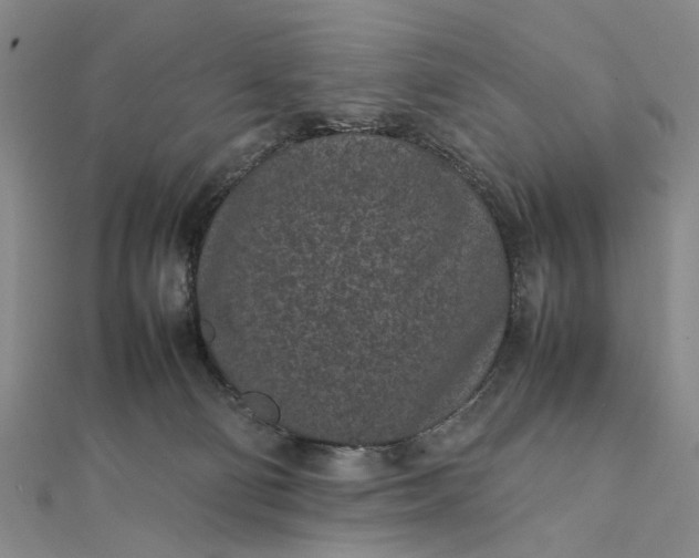 X0000111850130200908061323