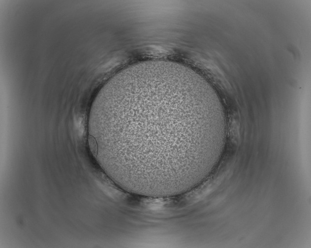 X0000111850131200908061322