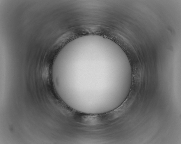 X0000111850132200908061322