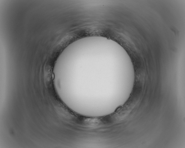 X0000111850133200908061322