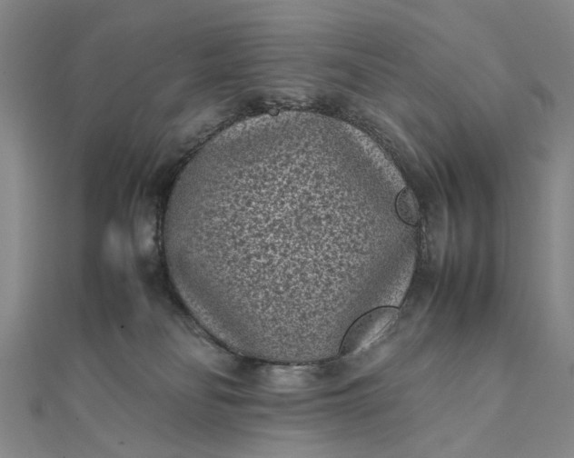 X0000111850134200908061322