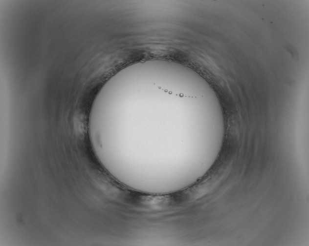 X0000111850135200908061322