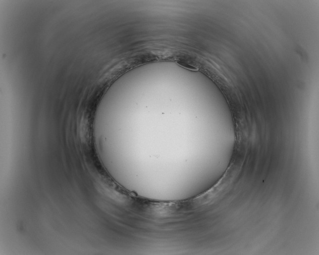 X0000111850136200908061322