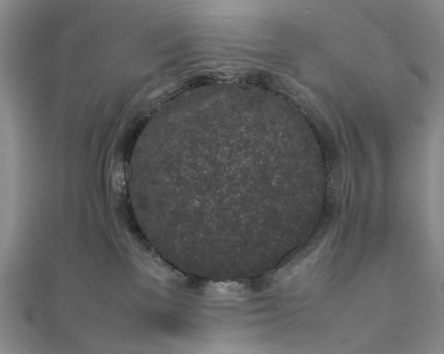 X0000111850137200908061322