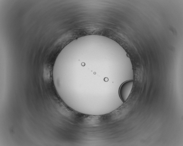 X0000111850138200908061322