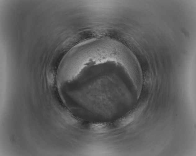 X0000111850139200908061322