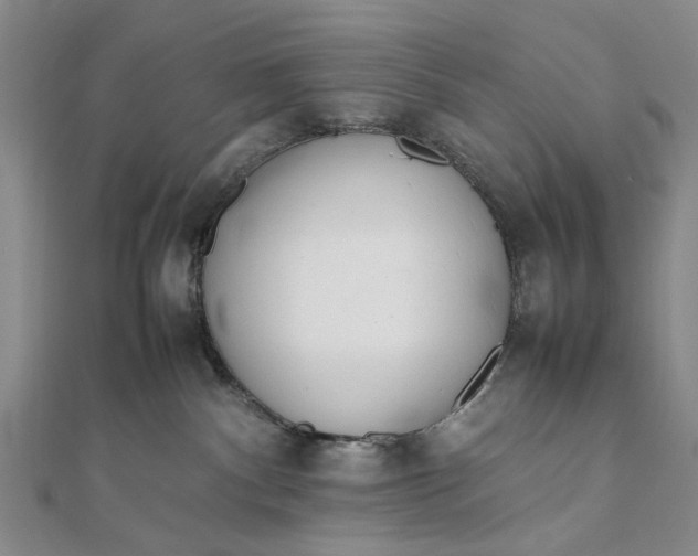 X0000111850140200908061322