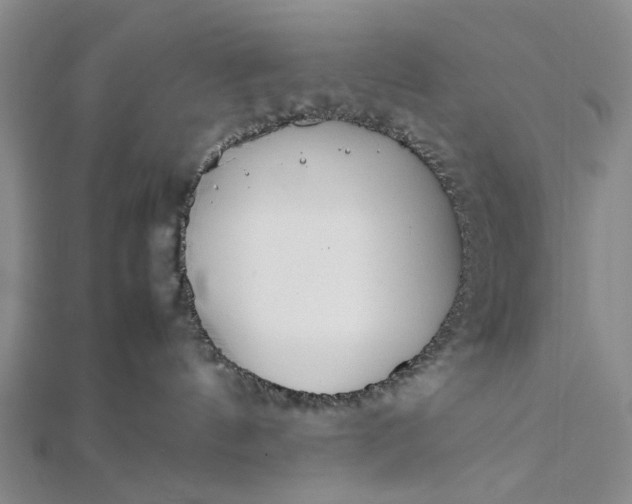 X0000111850144200908061322