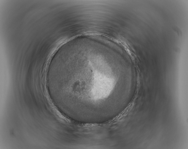 X0000111850145200908061322