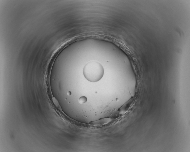 X0000111850146200908061322