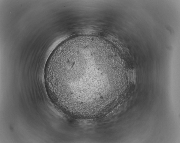 X0000111850147200908061322