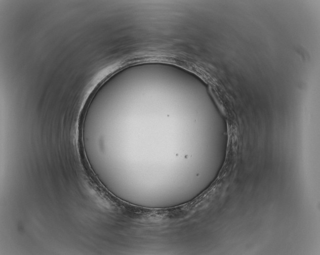 X0000111850148200908061322