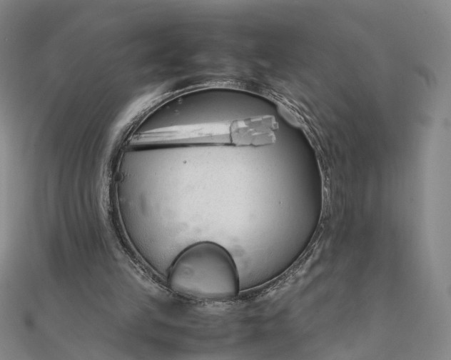 X0000111850149200908061322