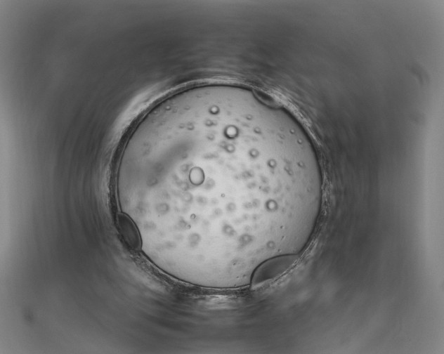 X0000111850151200908061322