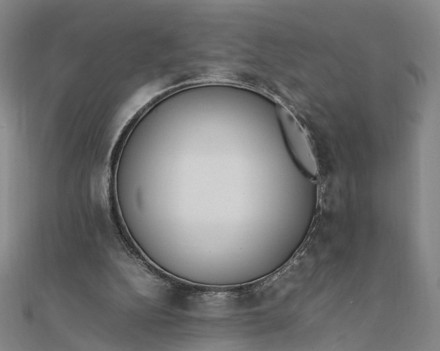 X0000111850152200908061322