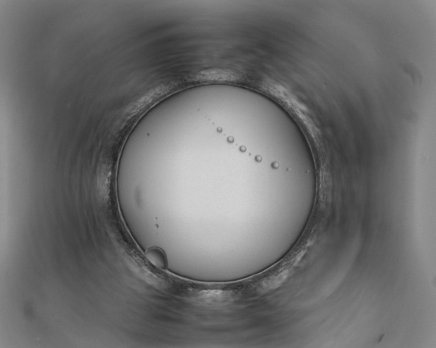 X0000111850153200908061322