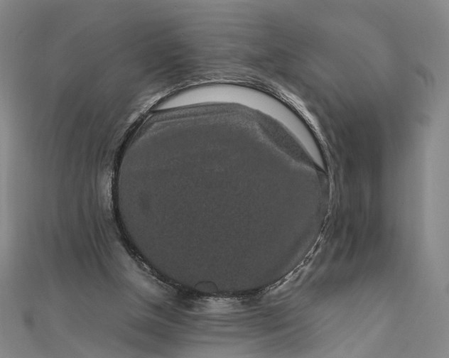 X0000111850154200908061322