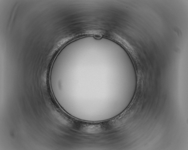 X0000111850155200908061322