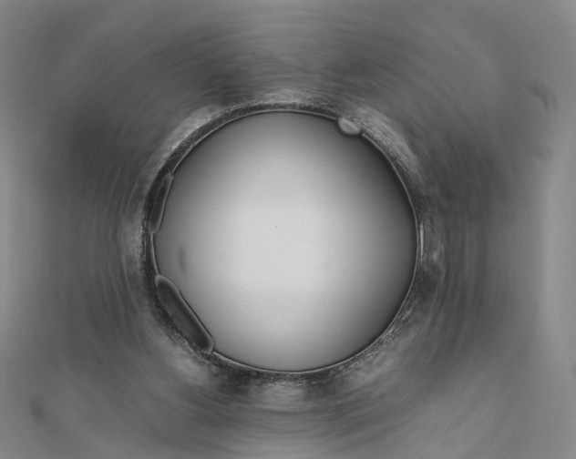 X0000111850156200908061322