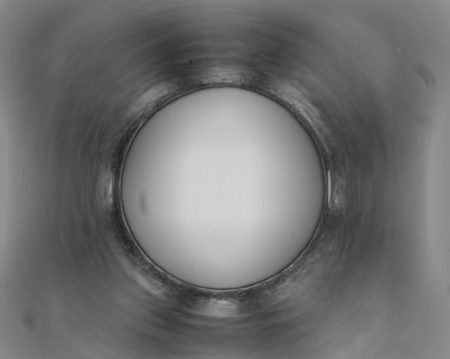 X0000111850157200908061322