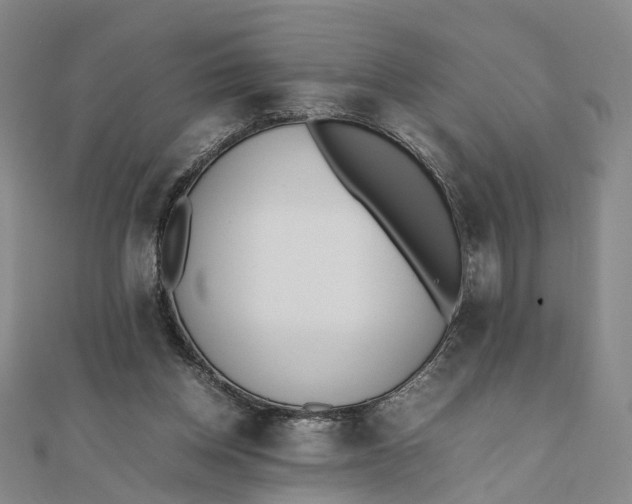 X0000111850158200908061322