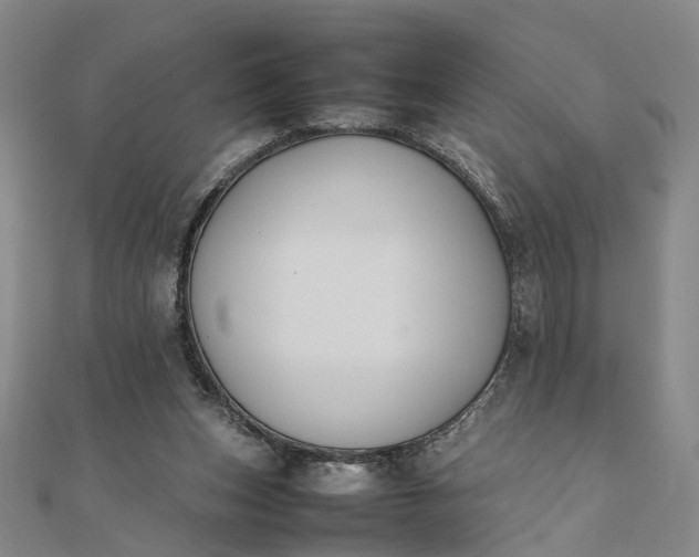 X0000111850159200908061322