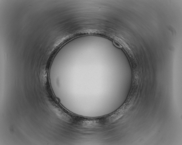 X0000111850160200908061322