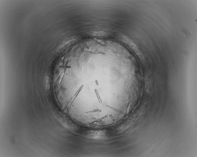 X0000111850161200908061322