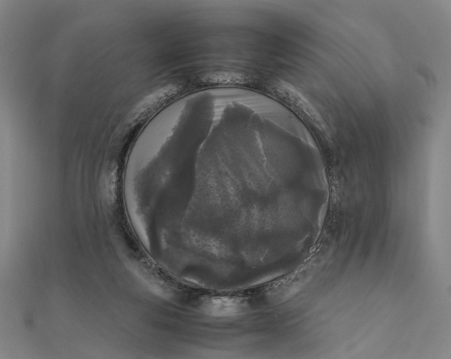 X0000111850163200908061322