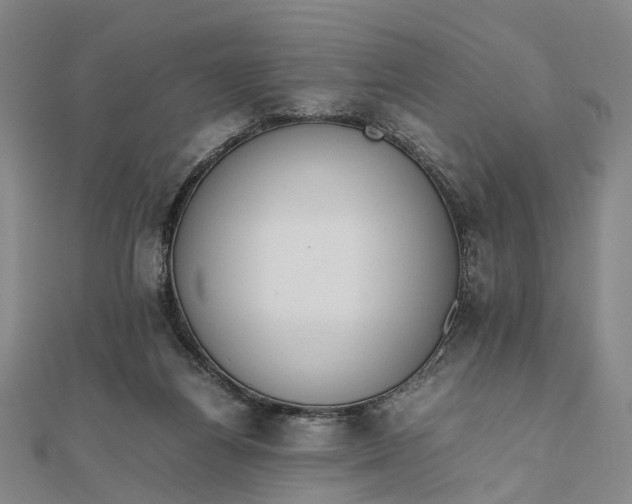 X0000111850164200908061322