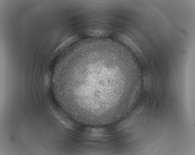 X0000111850165200908061322